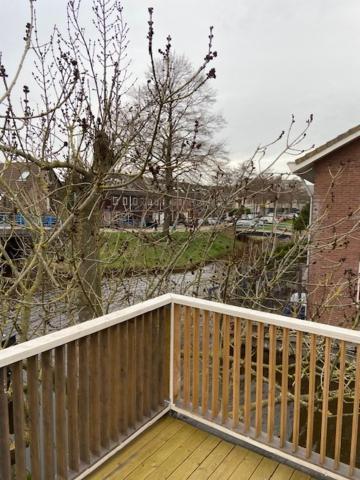 Tinyhouse Woody At The Water Zaandam